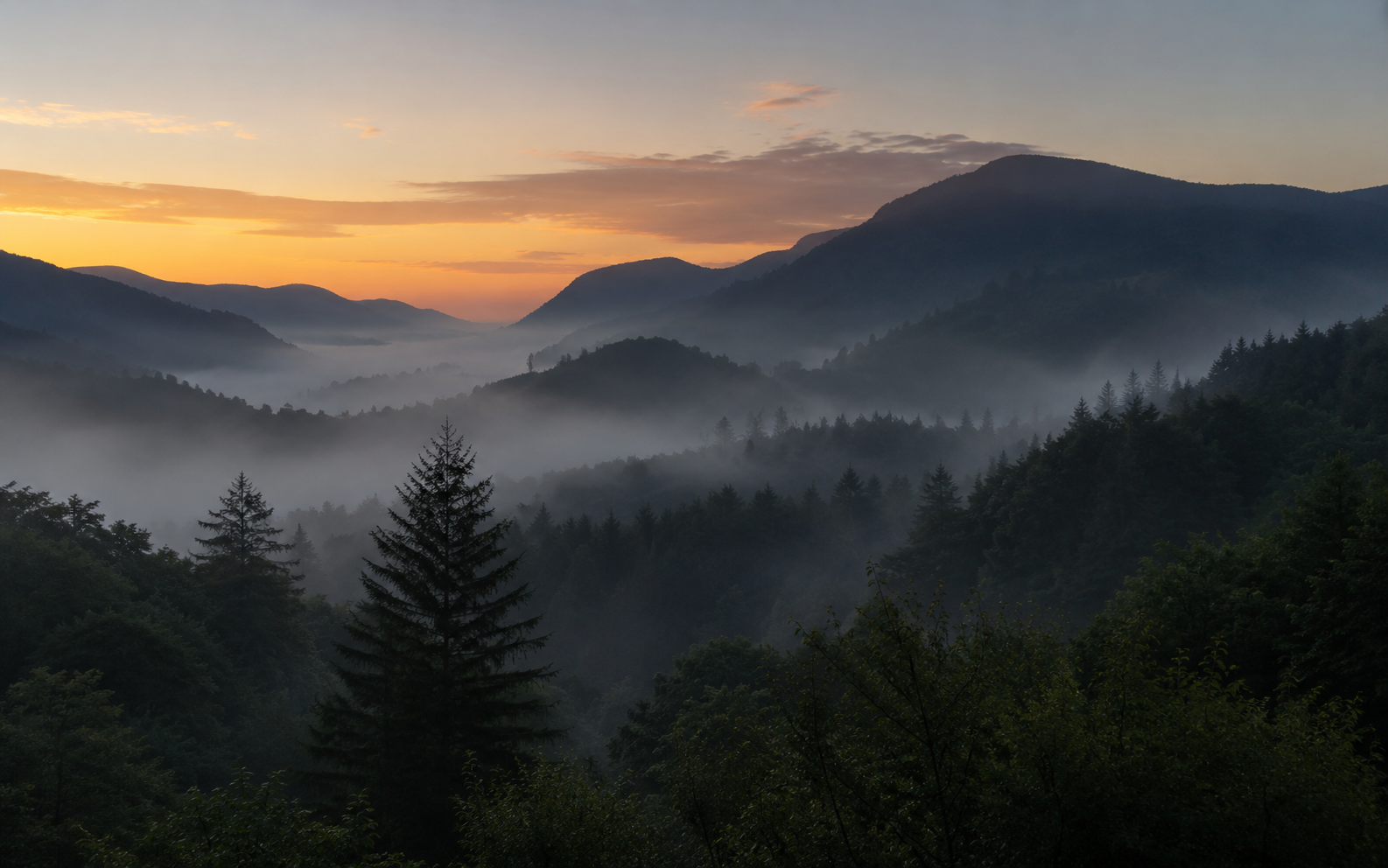 A misty valley seen from a cabin porch